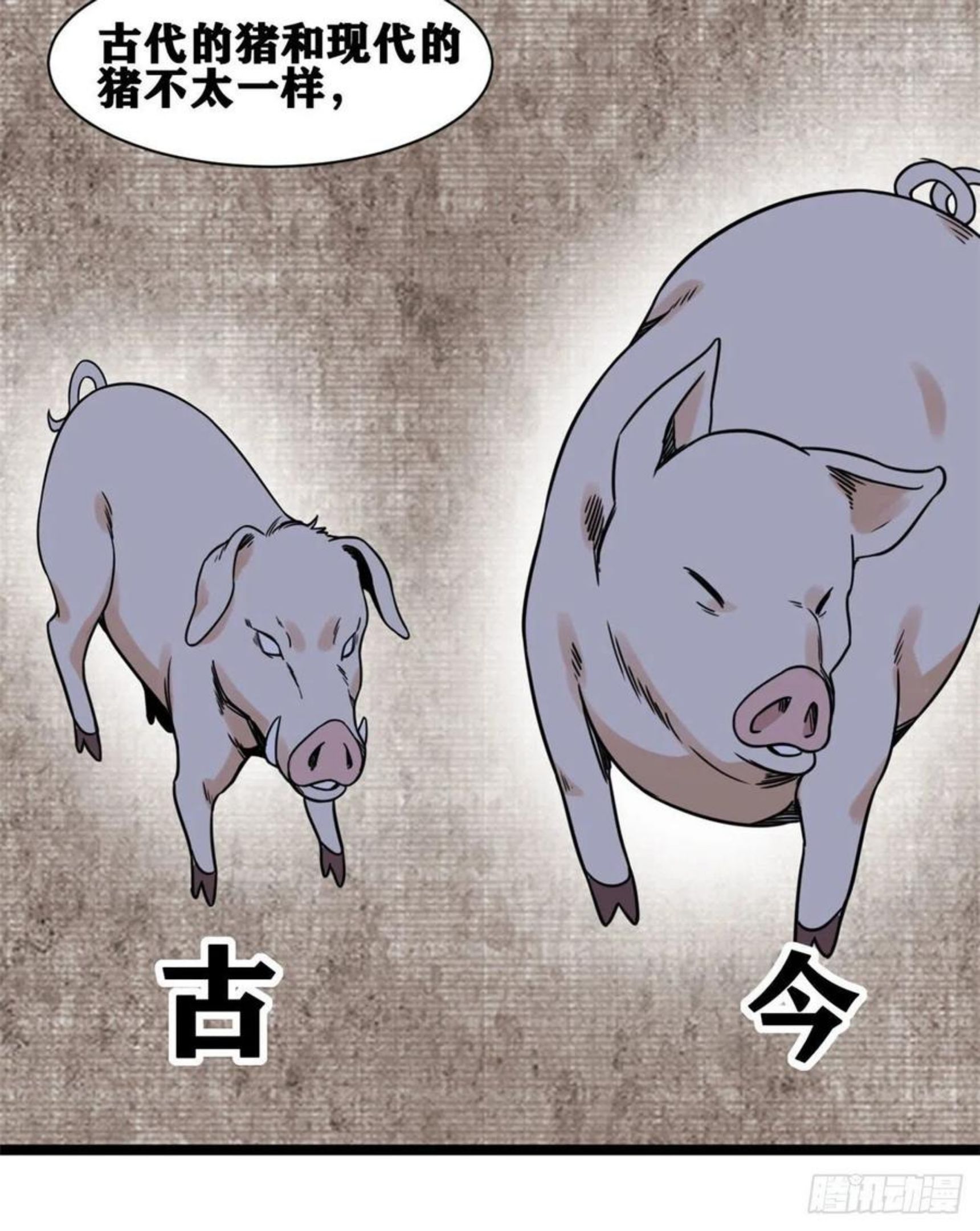 明朝败家子顶点小说漫画,135 改良猪肉品质17图