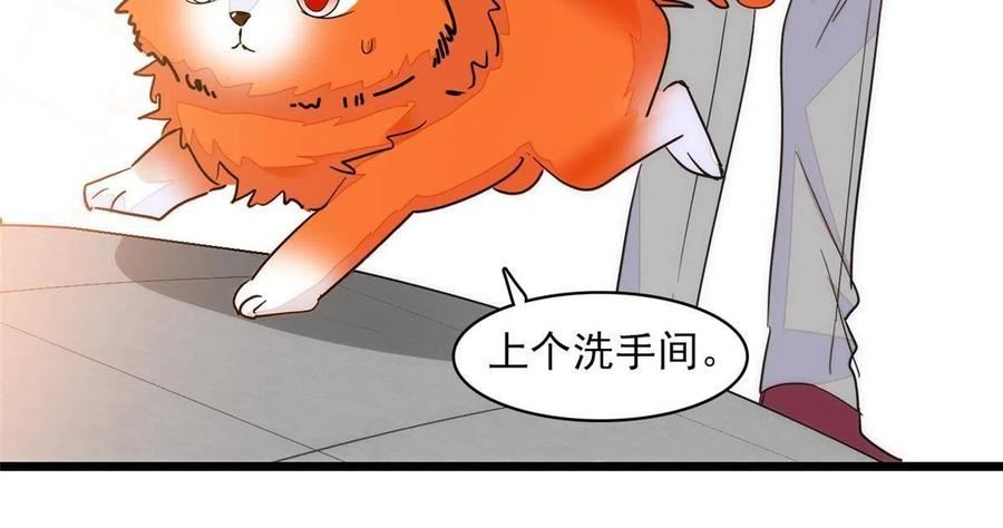 全网都是我和影帝cp粉免费漫画观看漫画,219 另一个孩子48图