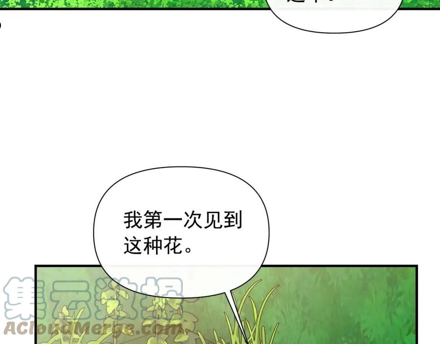 魔女的逆袭漫画,回归篇 关于花的名字149图