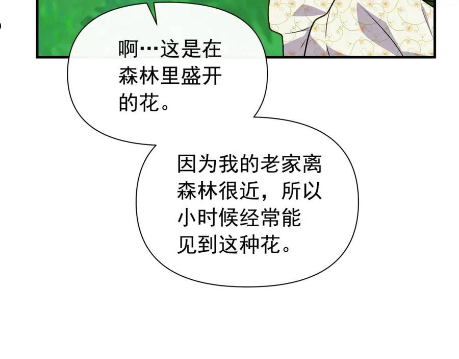 魔女的逆袭漫画,回归篇 关于花的名字151图