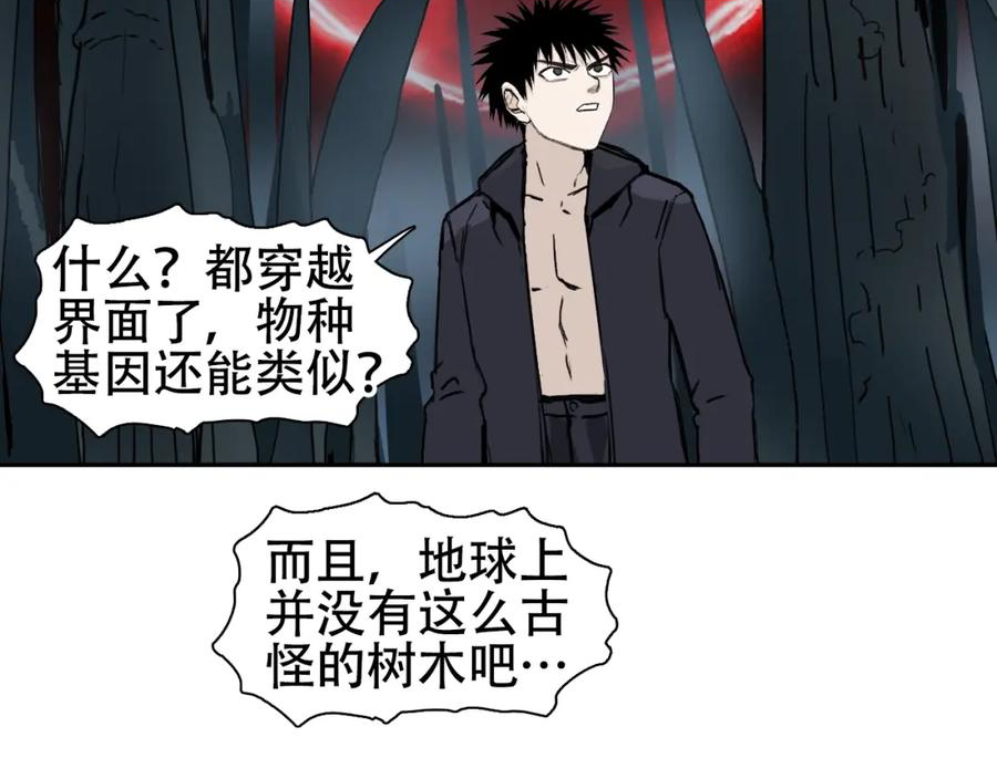 超能立方动漫在线观看完整版免费第二季漫画,第314话 大领主模板39图