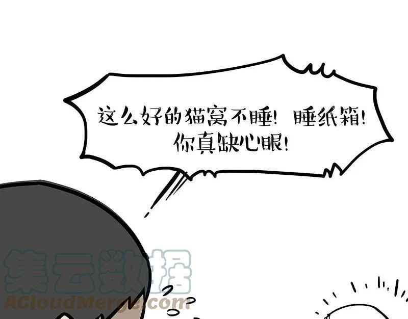 吾皇巴扎黑小视频漫画,第364话 万一呢？22图