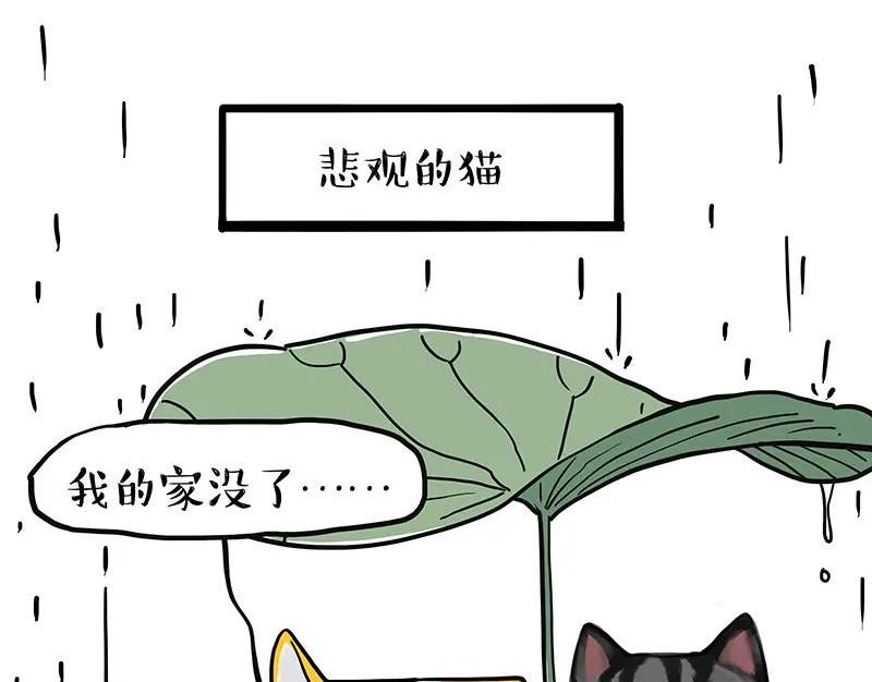 吾皇巴扎黑小视频漫画,第364话 万一呢？36图