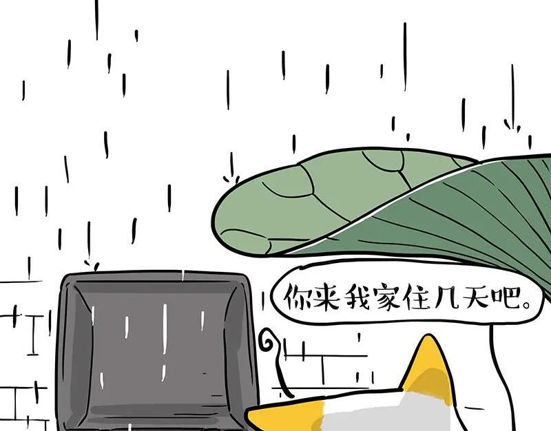 吾皇巴扎黑小视频漫画,第364话 万一呢？38图