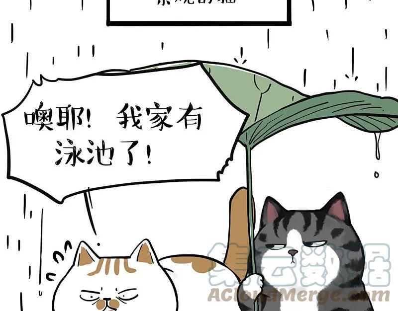 吾皇巴扎黑小视频漫画,第364话 万一呢？40图