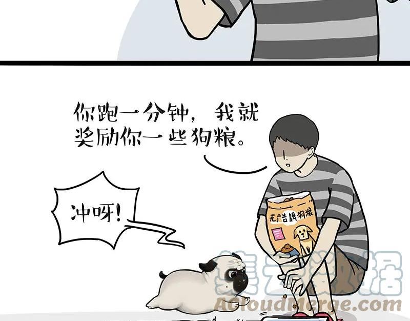 吾皇巴扎黑快看漫画漫画,第329话 今天你锻炼了吗？11图