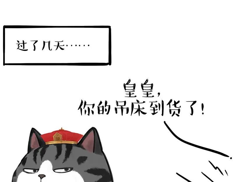 吾皇巴扎黑快看漫画漫画,第329话 今天你锻炼了吗？18图