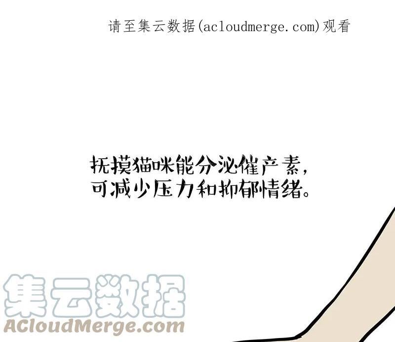 吾皇巴扎黑快看漫画漫画,第333话 养啥好？1图