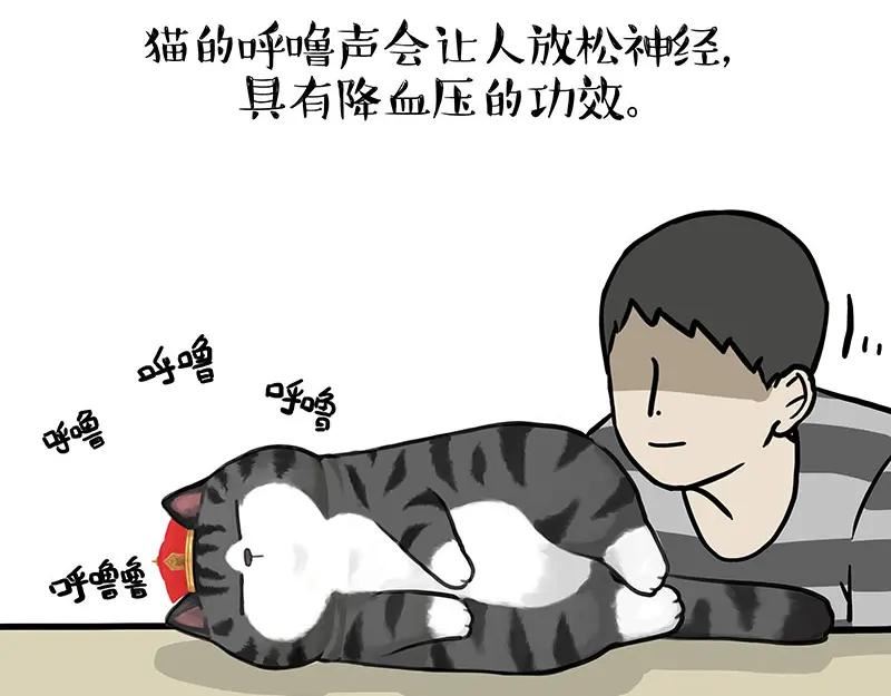 吾皇巴扎黑快看漫画漫画,第333话 养啥好？5图