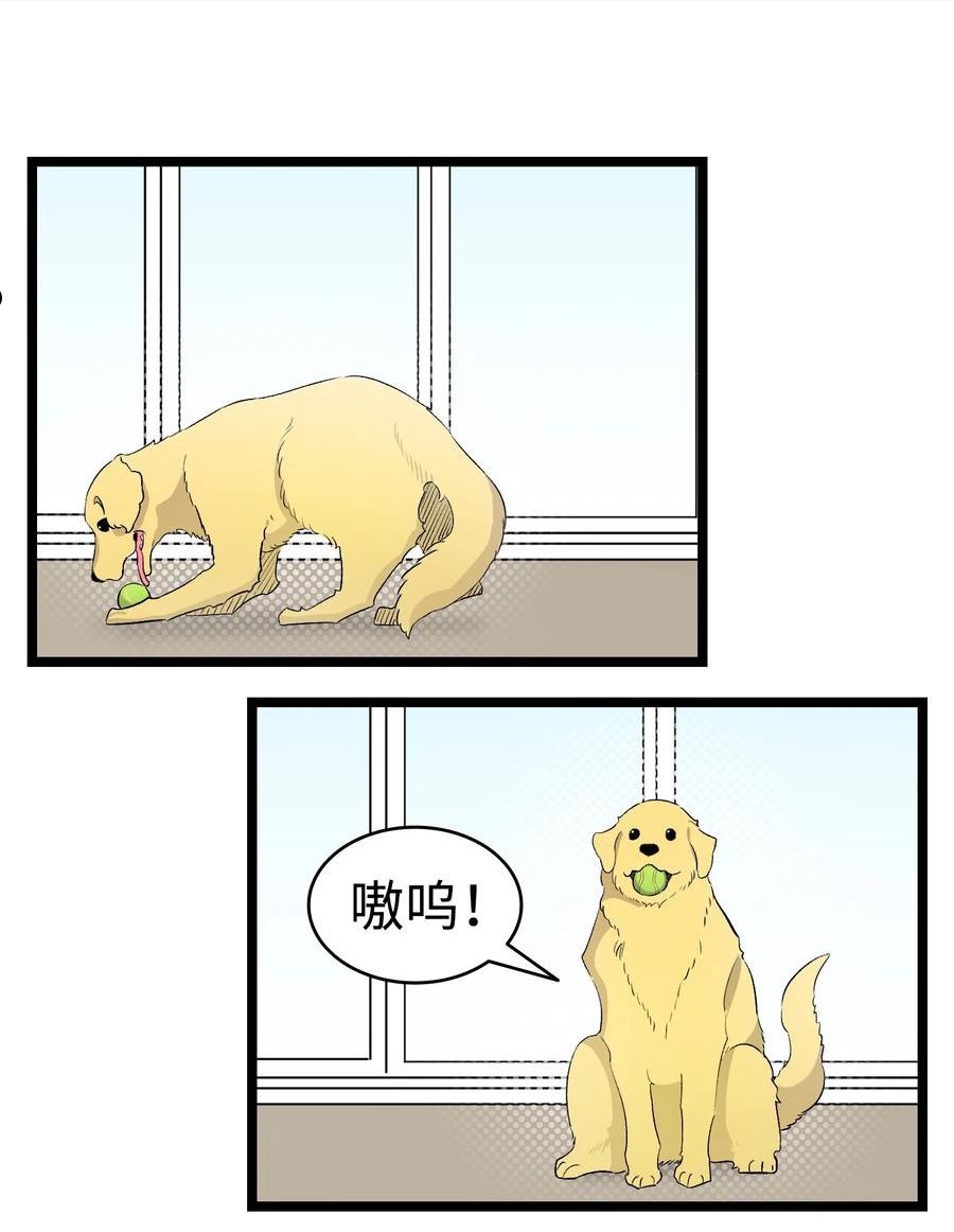 骷髅奶爸漫画,156 最后的嘱托56图