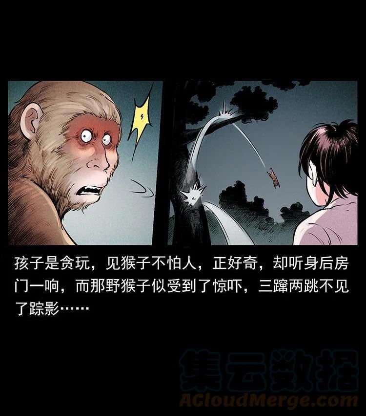 幽冥诡匠鬼罗丽漫画惊奇手札漫画,外传 洛生传1 猎妖34图