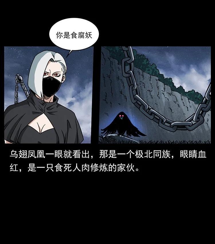 幽冥诡匠妖王墓漫画,484 极地鸦族23图