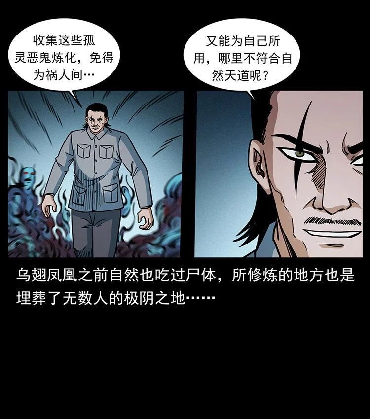 幽冥诡匠妖王墓漫画,484 极地鸦族69图