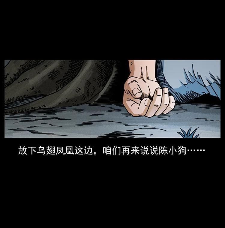 幽冥诡匠妖王墓漫画,484 极地鸦族84图