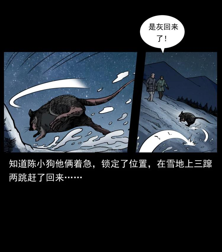 幽冥诡匠漫画免费阅读全集无删减漫画,644 山神，山神！12图