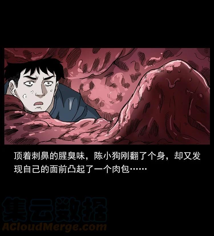 幽冥诡匠陈小狗漫画全集免费观看漫画,492 一路危机64图