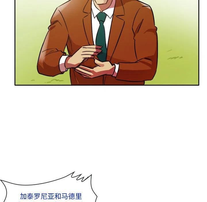 绿茵传奇-欧洲篇漫画,13347图