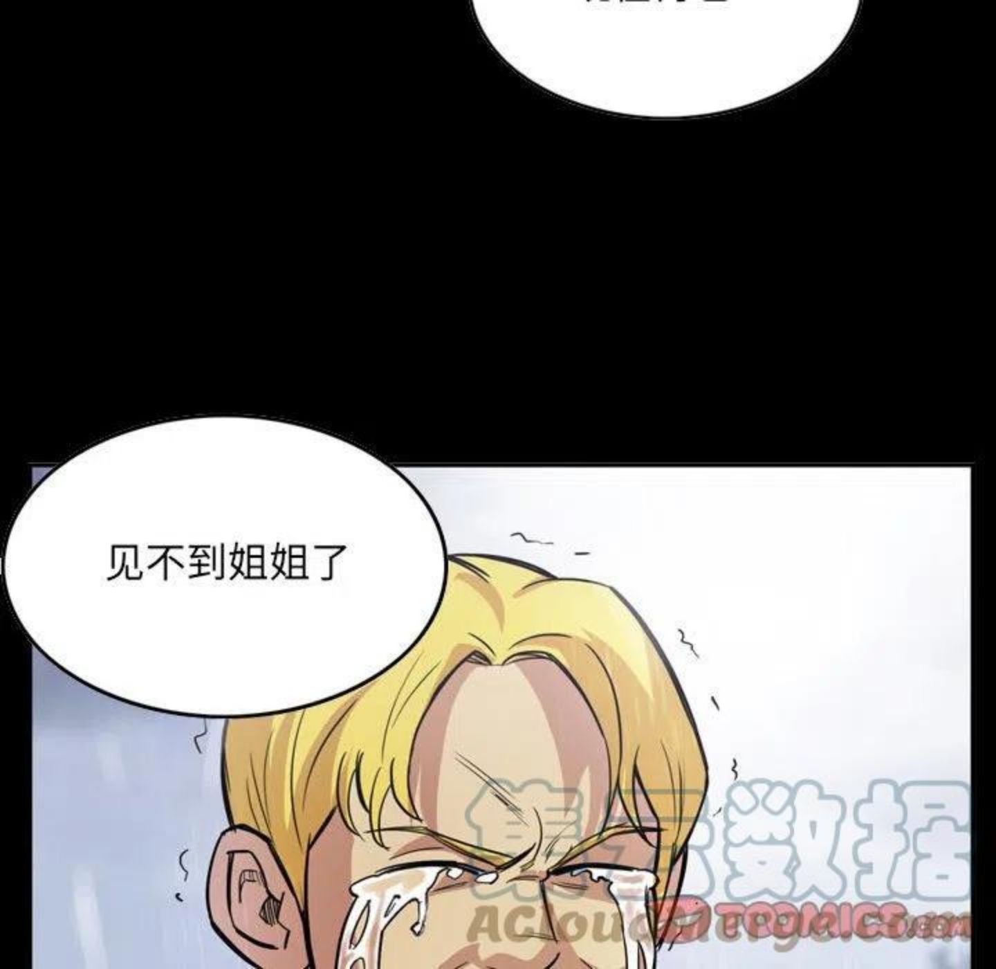 绿茵传奇-欧洲篇漫画,9546图