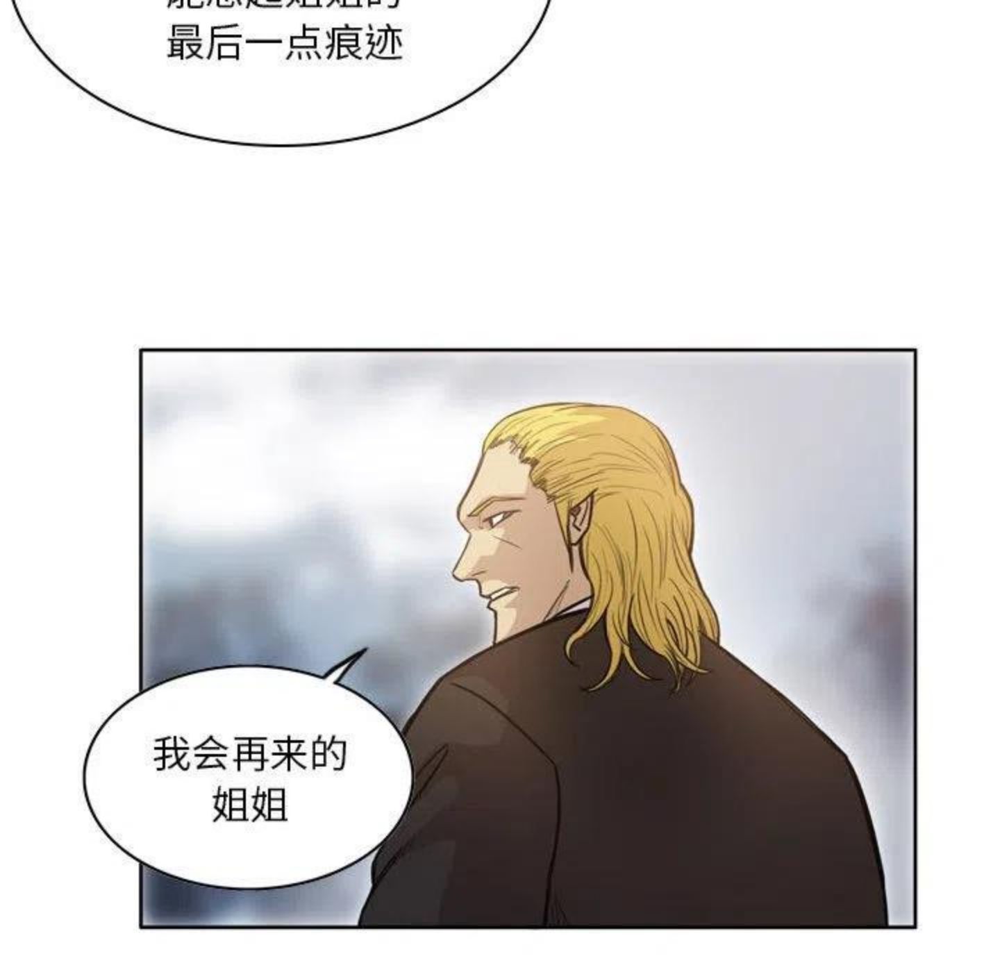 绿茵传奇-欧洲篇漫画,9556图