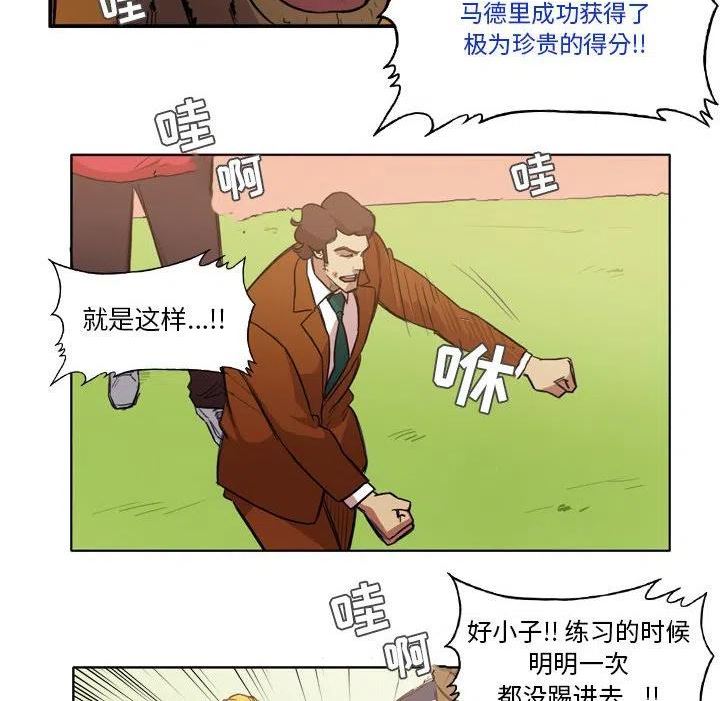 绿茵传奇-欧洲篇漫画,12530图