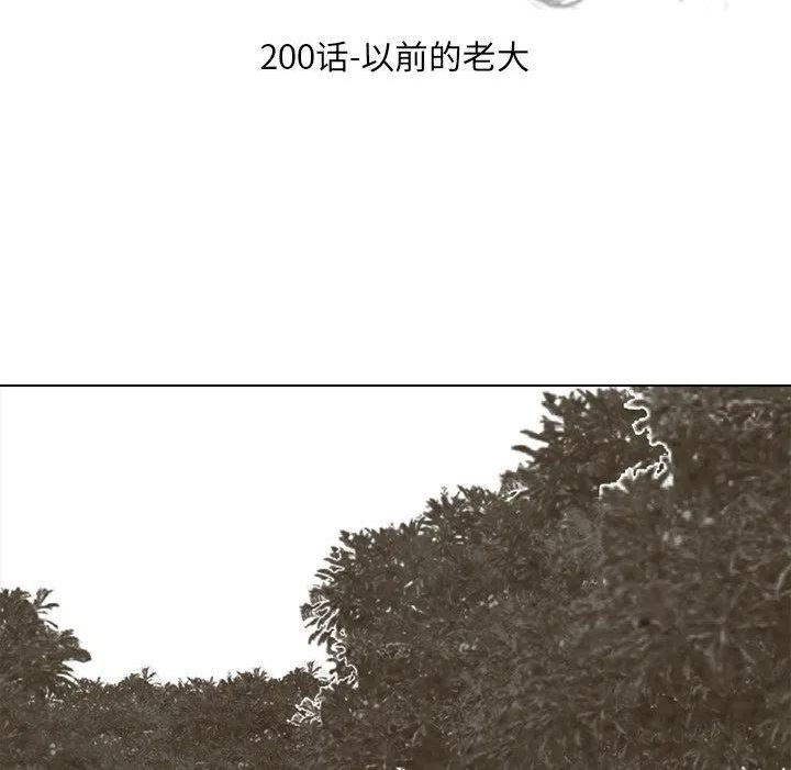 高校巅峰赛排名漫画,20014图