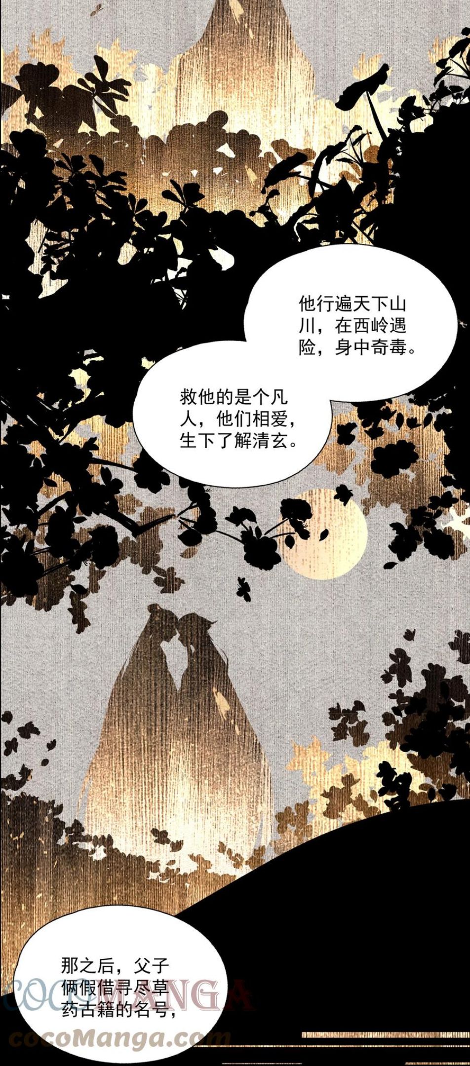 不小心救了江湖公敌免费漫画漫画,072 往事21图