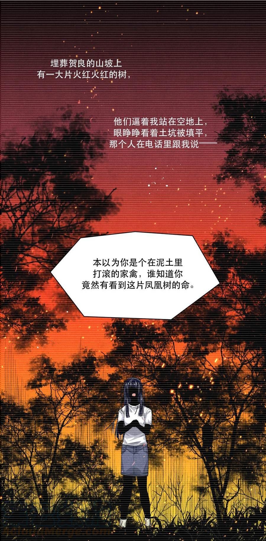 破云漫画,89 天纵山 凤凰林19图