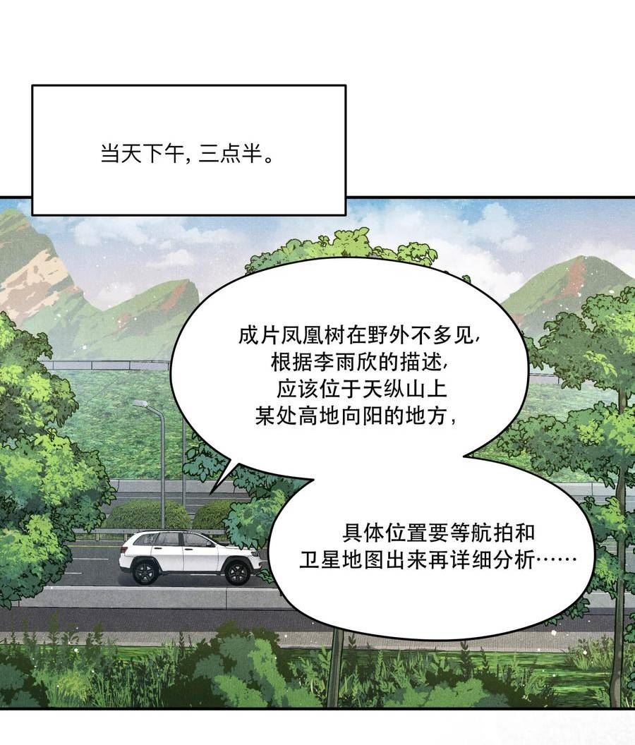 破云漫画,89 天纵山 凤凰林22图