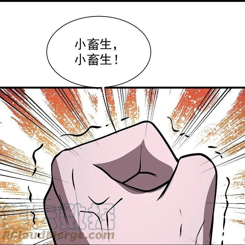 盖世帝尊漫画,第322话 玄域外的人27图