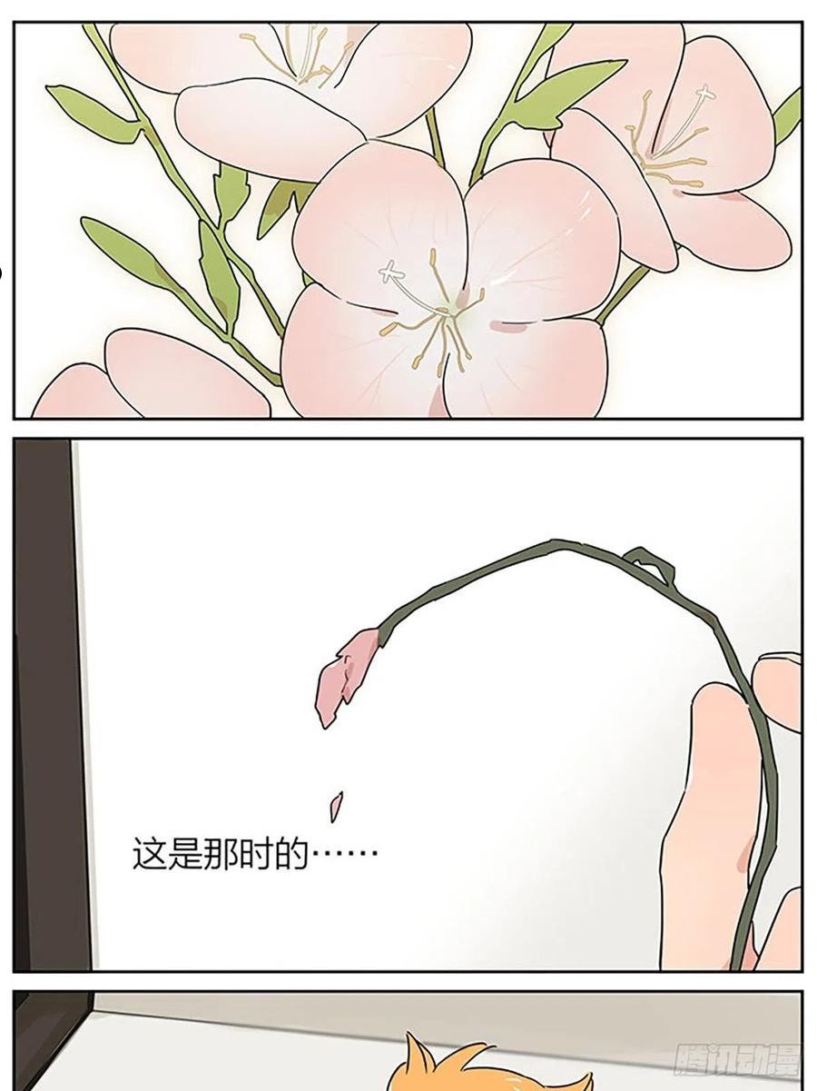 捡了东西的狼漫画全集漫画,秘密22图