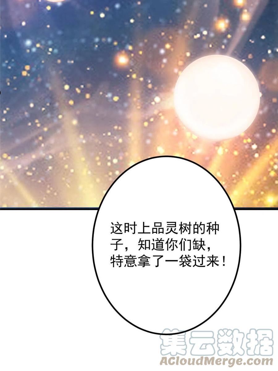 掌门低调点小说在哪里看漫画,105 灵树之种73图