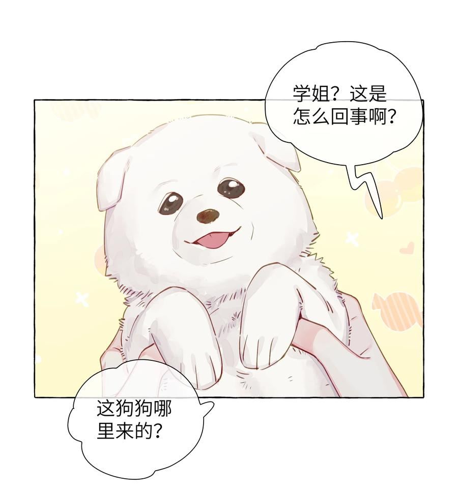 直女陷阱漫画,100 学姐的小狗2图