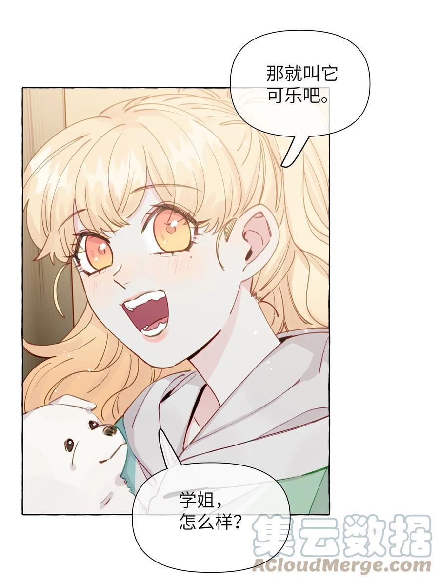 直女陷阱漫画,100 学姐的小狗9图