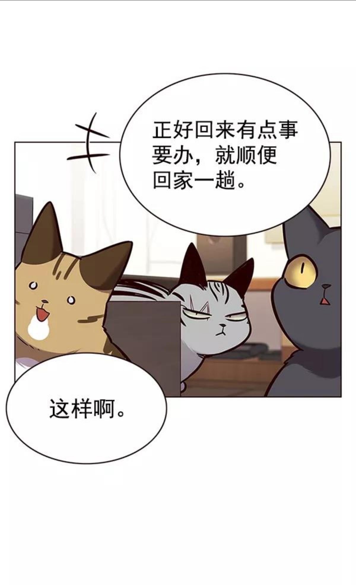 觉醒吧铲屎官156汉化漫画漫画,第177话12图