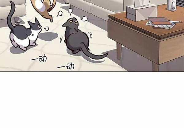 觉醒吧铲屎官162漫画,第182话27图