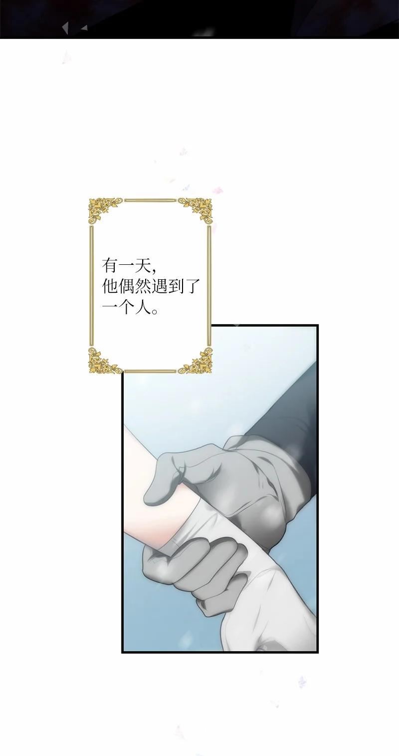 她们的秘密花园免费漫画下拉式免费漫画,41 闪光的人们3图