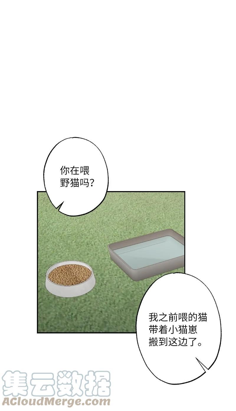 她们的秘密泰剧漫画,51 想要靠近一点10图