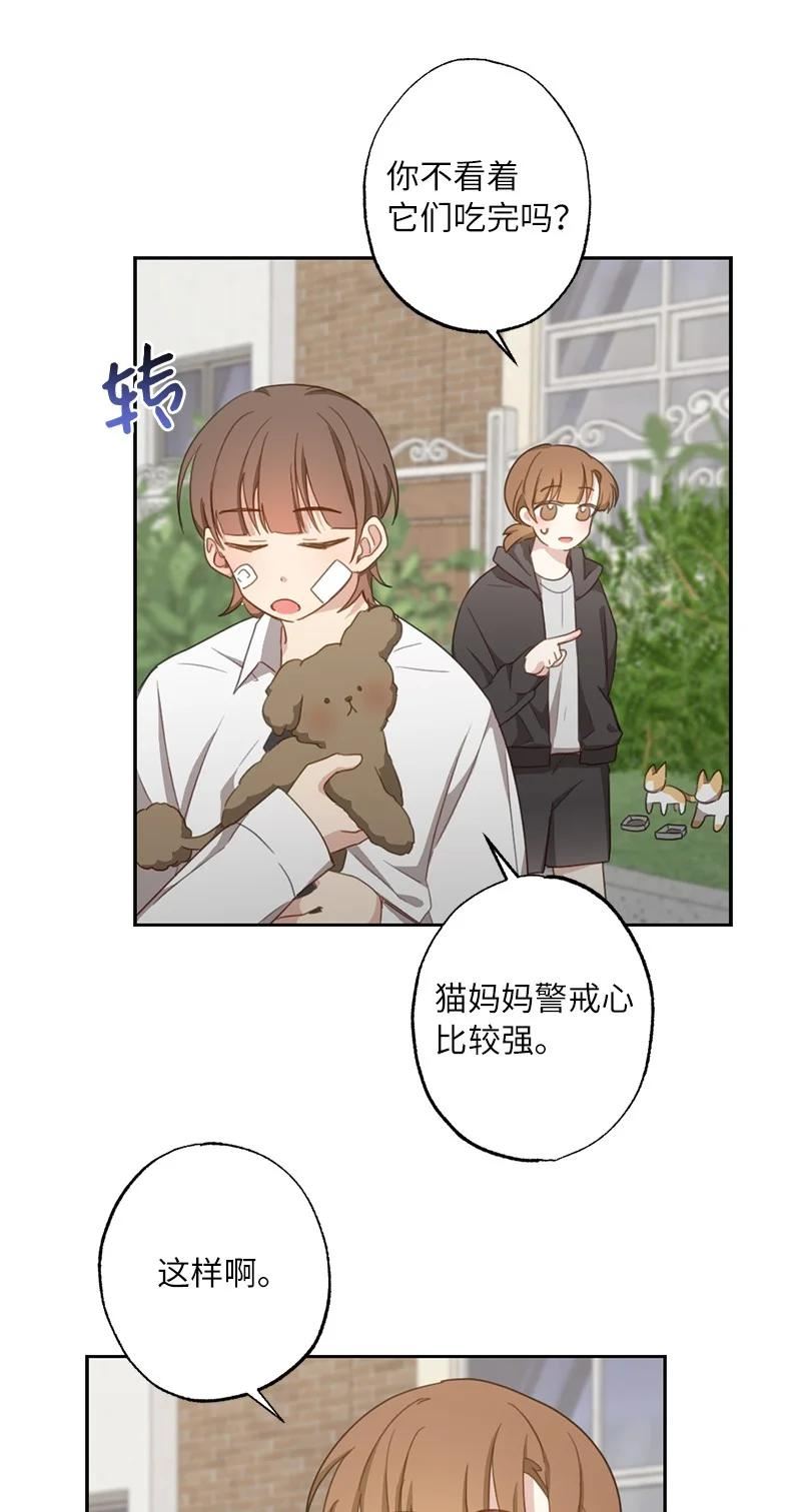 她们的秘密泰剧漫画,51 想要靠近一点12图