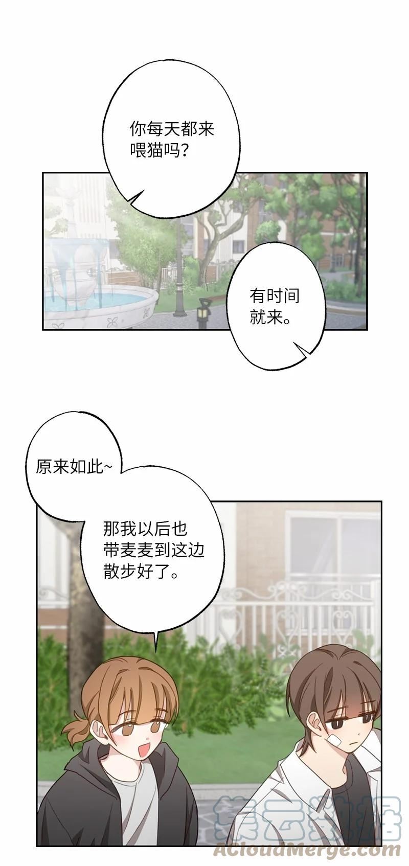 她们的秘密泰剧漫画,51 想要靠近一点16图