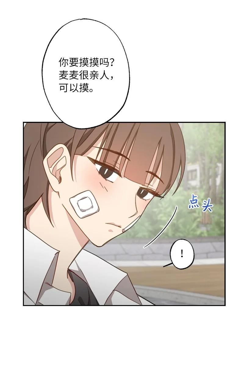 她们的秘密泰剧漫画,51 想要靠近一点5图