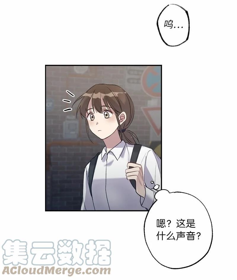 她们的秘密花园免费漫画下拉式免费漫画,56 普通的朋友49图