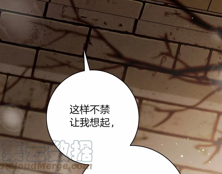 橡树之下漫画,第49话 麦茜主动221图