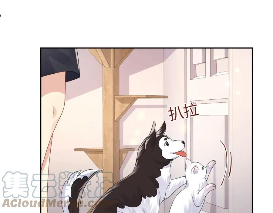 又被前男友盯上了漫画,第94话 又套路我？61图