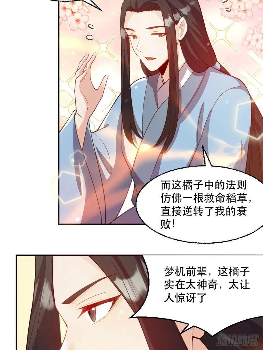 原来我是修仙大佬等级划分漫画,205话17图