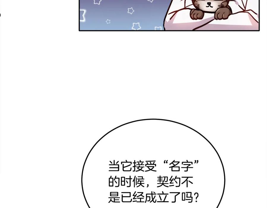 精灵团宠小千金动漫合集漫画,第81话 缔结契约46图