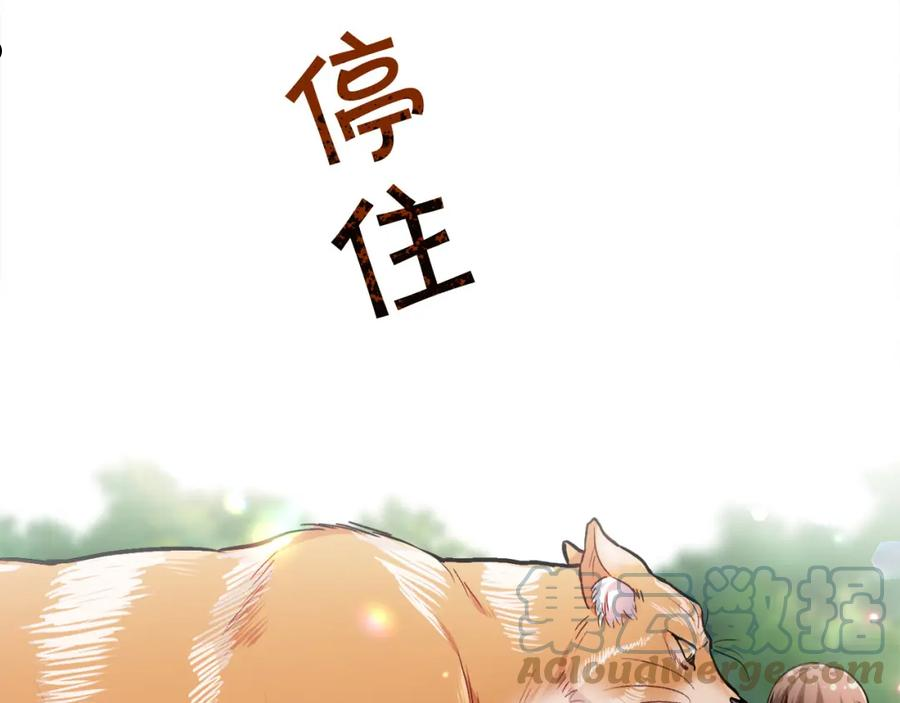 精灵团宠小千金动漫合集漫画,第81话 缔结契约5图