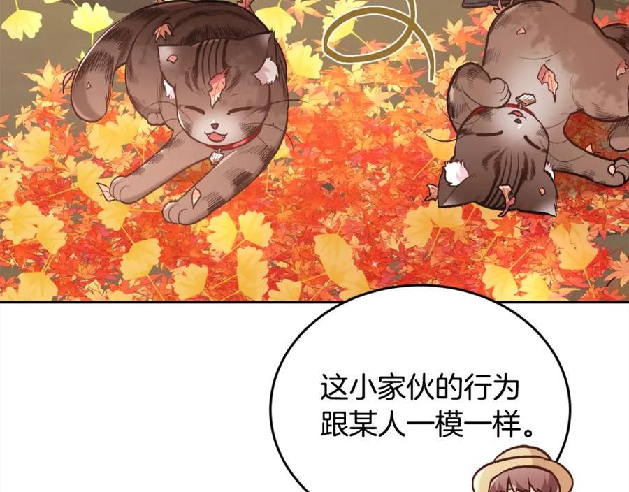 精灵团宠小千金动漫合集漫画,第140话 订婚仪式23图