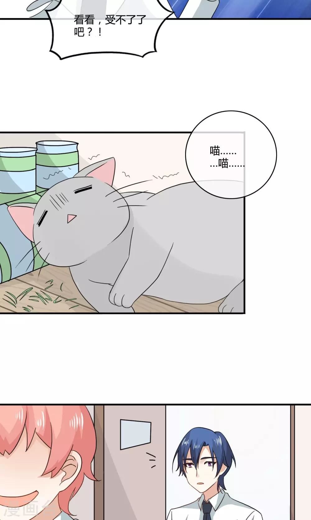 姻缘上上签漫画,第4话 诱猫计划11图