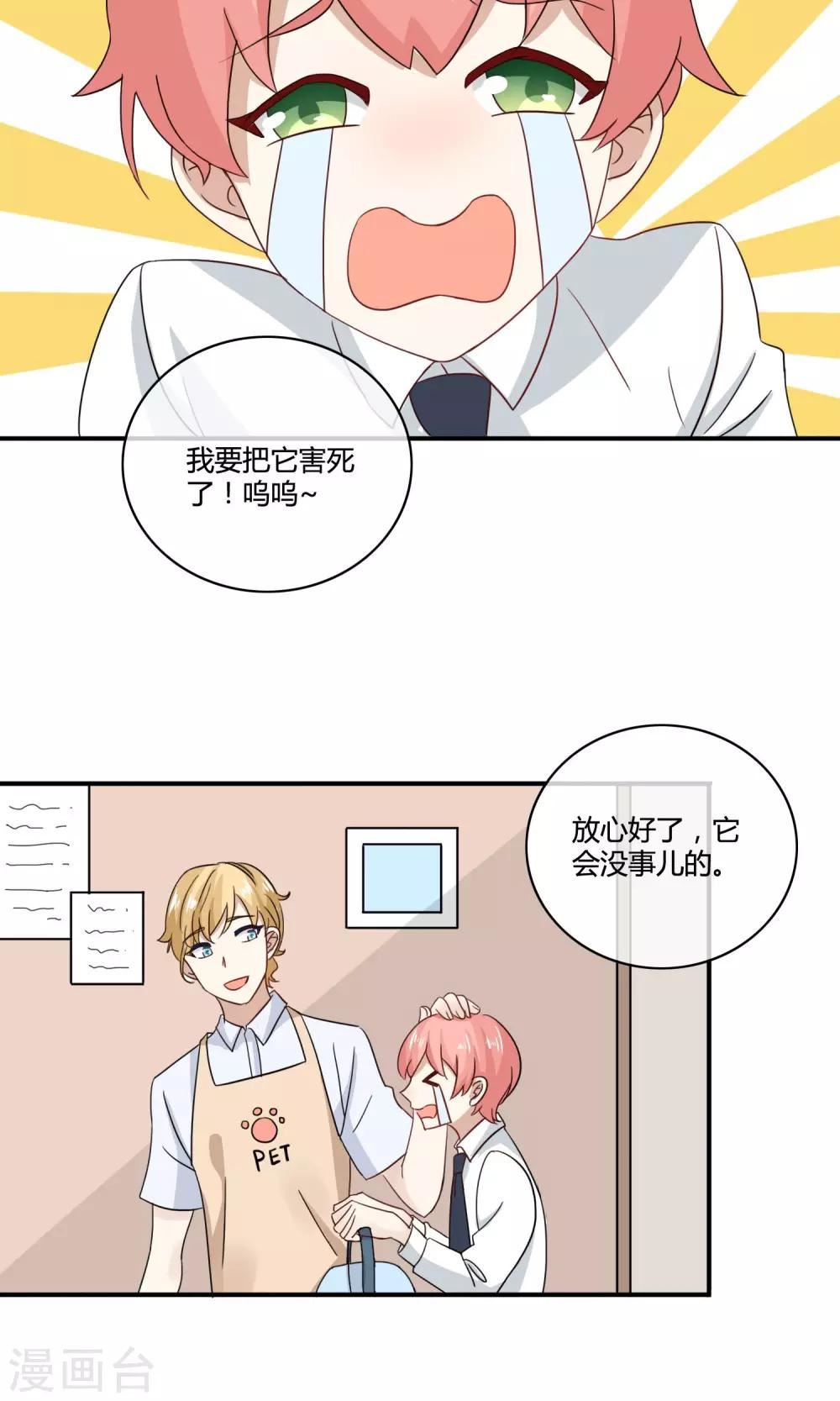 姻缘上上签漫画,第4话 诱猫计划17图