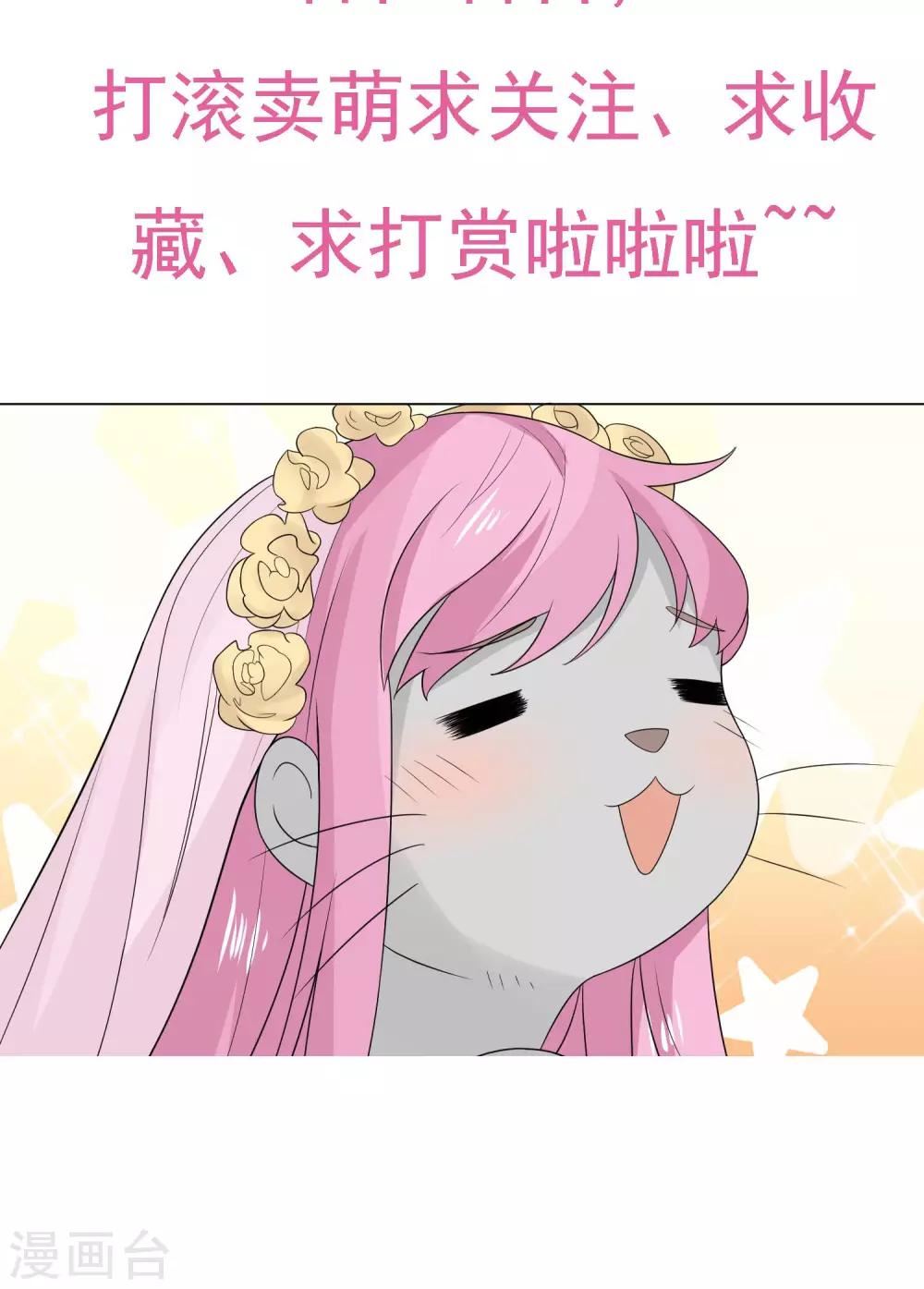 姻缘上上签漫画,第4话 诱猫计划27图